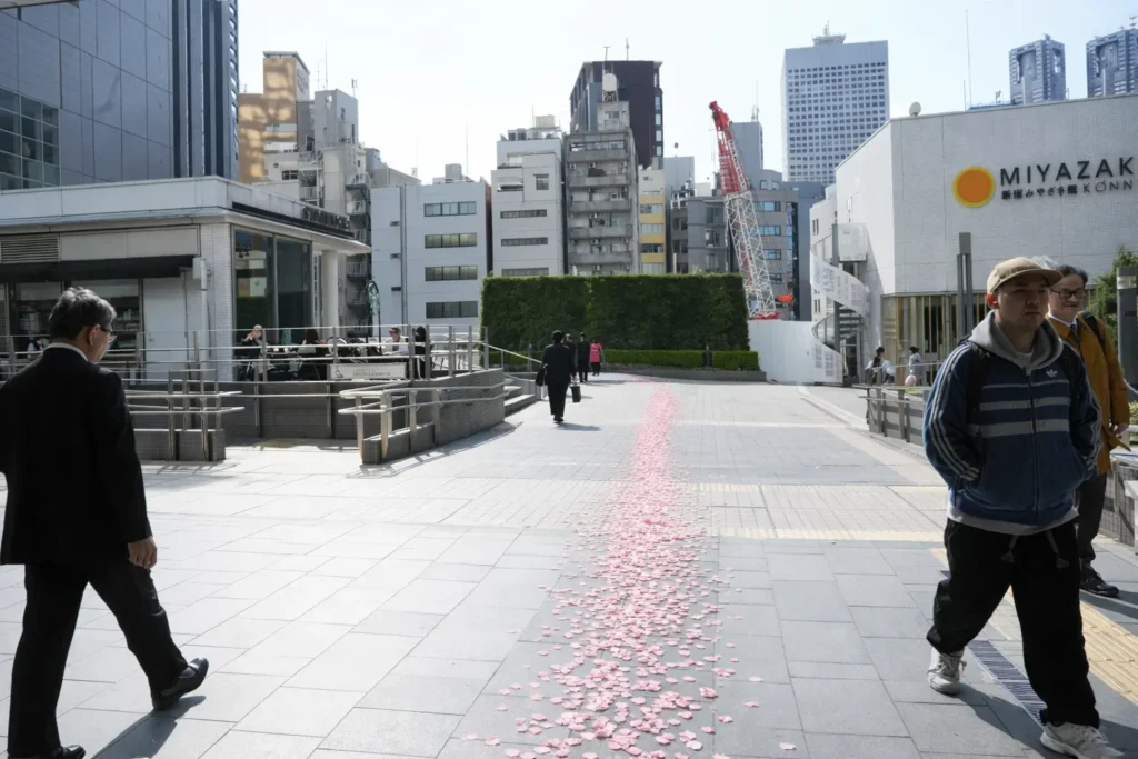 新宿 サザンテラス スターバックス 角 右折 通勤ルート チャットレディ 花びらの道