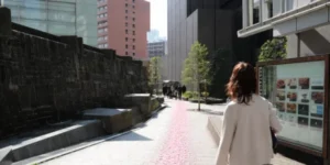 新宿 マインズタワー脇 通路 ニューステートメナー方面 通勤ルート チャットレディ 花びらの道