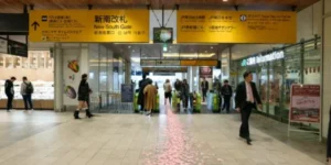 新宿 新南改札 内側 改札出口 通路 チャットレディ 通勤ルート 花びらの道