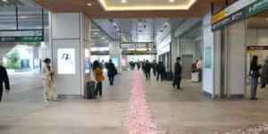 新宿 新南改札 通路 チャットレディ 通勤ルート 花びらの道 案内