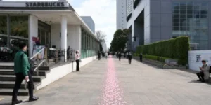 新宿 サザンテラス スターバックス前 通路 花びらの道 チャットレディ 通勤ルート